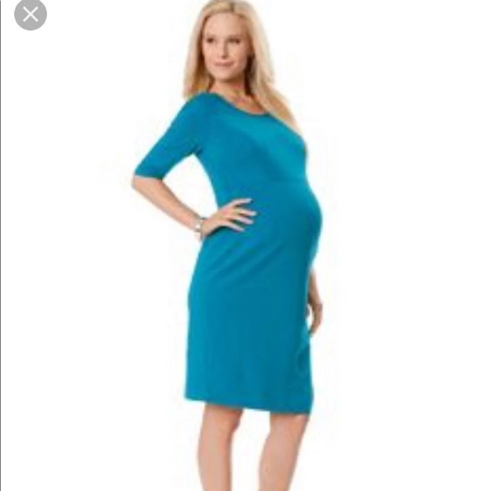 EUC Rosie Pope Large Maternity Dress